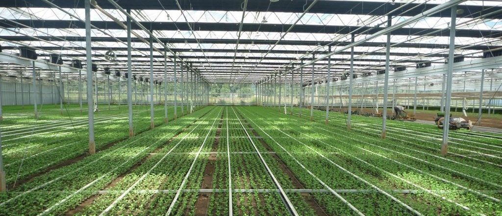 heating tube to improve greenhouse energy efficiency