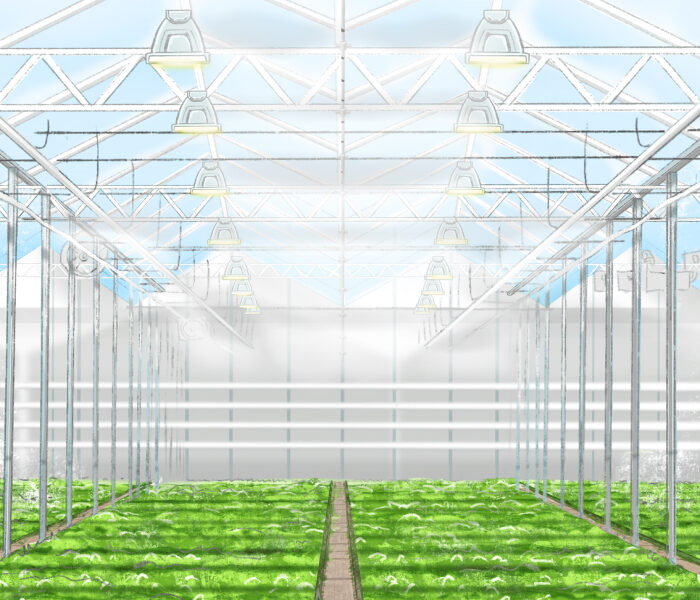 pad fan cooling greenhouse fog