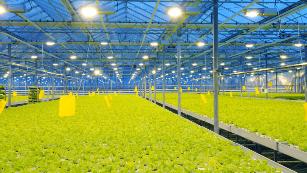 Greentech Greenhouse design software