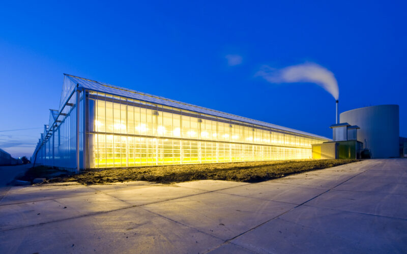 greenhouse_energy-audit-light